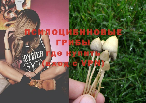 стафф Кулебаки