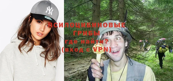 стафф Кулебаки