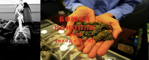 стафф Кулебаки