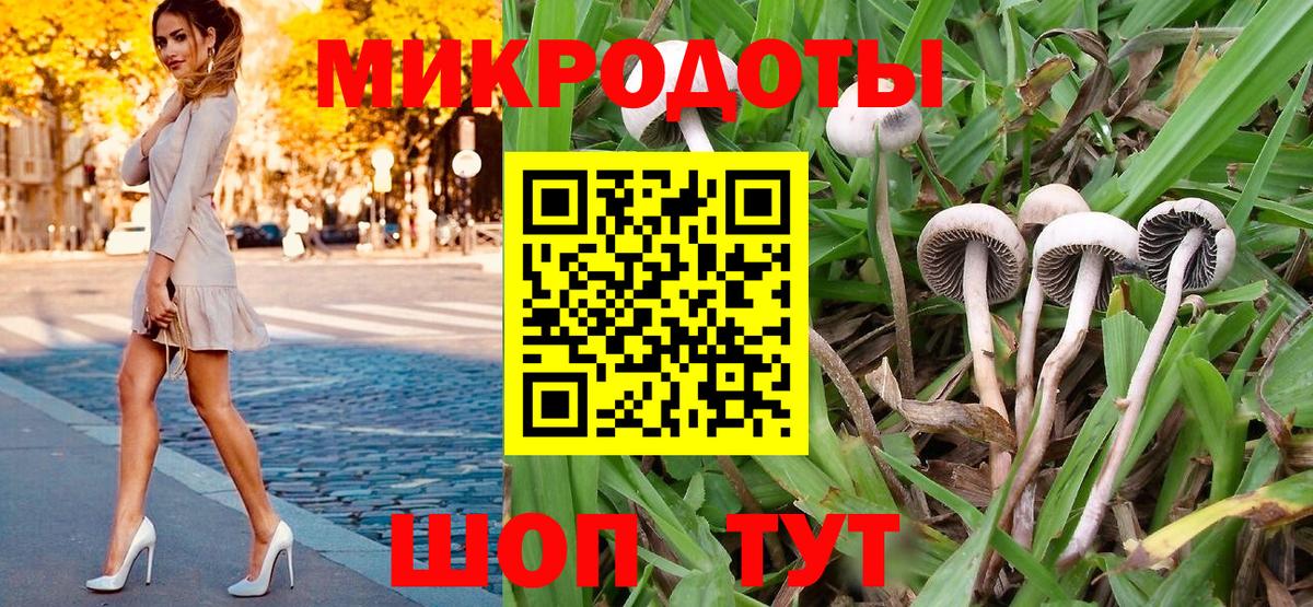 Сорочинск  Галлюциногенные грибы Psilocybine cubensis  Вход с VPN 