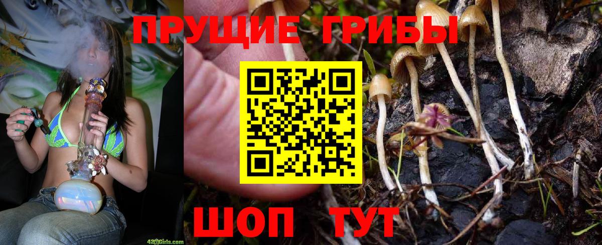 Галлюциногенные грибы Cubensis Сорочинск
